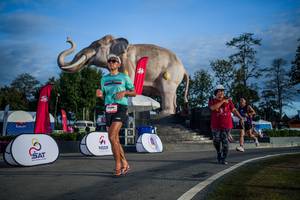 BIB: 
                            <button type="button" onclick="openModal(26541845)" class="btn btn-primary btn-sm float-right btn-popup" data-toggle="modal" data-target=".modal-high-quality">
                        <i class="fas fa-shopping-cart"></i> Add to Cart
                    </button>
                                            <button type="button" onclick="isThisMe(26541845, true)" class="btn btn-success btn-sm float-right btn-popup btn-isme hidden" data-toggle="tooltip" data-placement="bottom" title="นี่คือรูปของคุณใช่ไหม คลิกที่นี่เพื่อเอาเข้าอัลบั้ม">
                        <i class="fas fa-plus"></i> Add to album
                    </button>
                    <button type="button" onclick="isThisMe(26541845, false)" class="btn btn-warning btn-sm float-right btn-popup btn-isnotme hidden">
                        <i class="fas fa-ban"></i> Remove from album
                    </button>